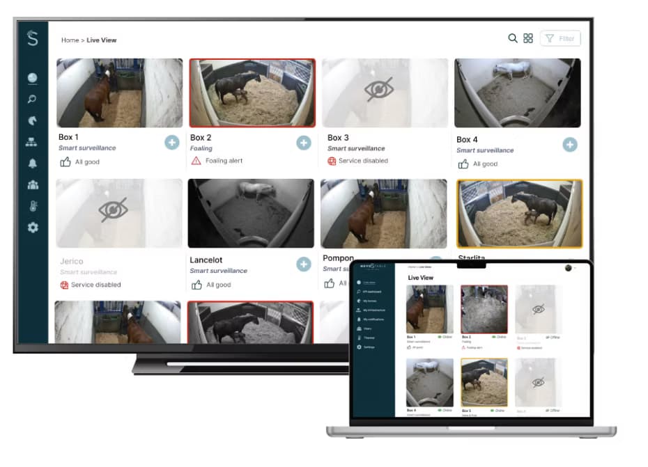 Novostable KI-Kameras im Stall