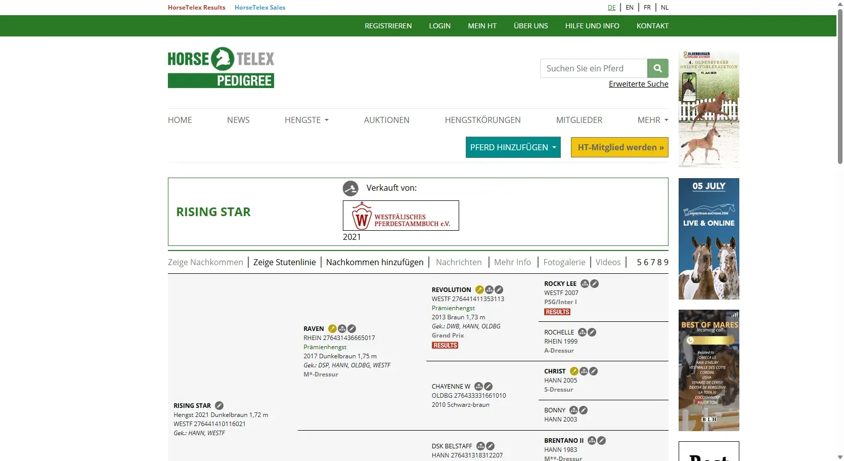 HorseTelex dashboard showing pedigree insights
